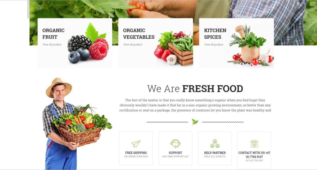 food store website template